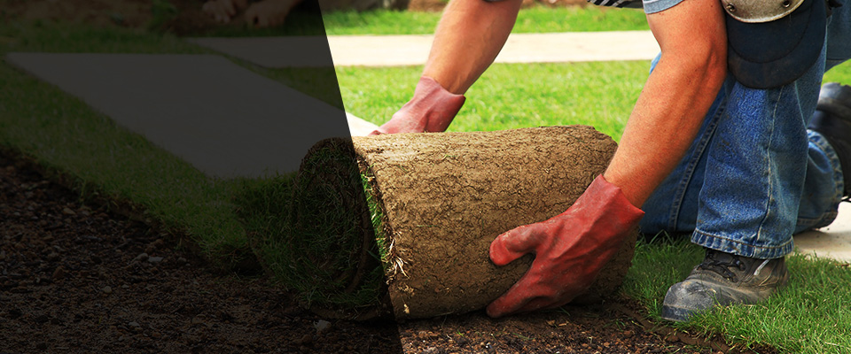 Franklin Park Landscapers